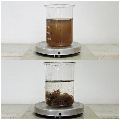 50 - Prodotto chimico di rimozione di colore del contenuto di solidi di 55% per l'acqua di scarico di trasformazione dei prodotti alimentari del fungo
