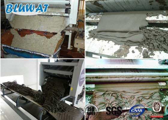 comprare Lo SGS cationico BV del poliacrilammide CPAM Blufloc di disidratazione dei fanghi ha certificato fabbricazione online