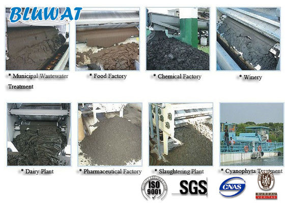 comprare Poliacrilammide cationico della polvere bianca per disidratazione dei fanghi fabbricazione online