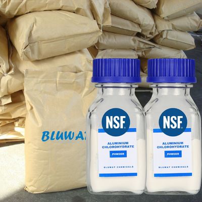 comprare ACH Cloridrato di alluminio polvere materie prime cosmetiche antitranspiranti fabbricazione online