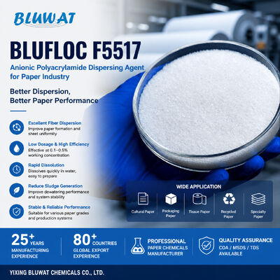 comprare BLUFLOC F5517 Poliacrilammide anionico agente disperdente per l'industria della carta fabbricazione online