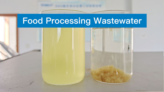 Agente Wastewater Treatment Chemicals di Decoloring dell'acqua dello SGS del DCA