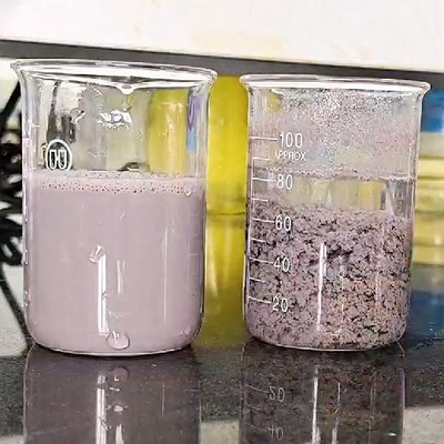 Poliacrilammide anionico del flocculante del polimero di trattamento delle acque di industria di pittura